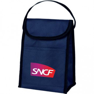 Nonwoven Lunch Bags