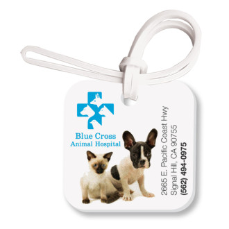 Bag & Luggage Tags - Small Square ID - Full Color