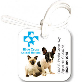 Bag & Luggage Tags - Small Square ID - Full Color