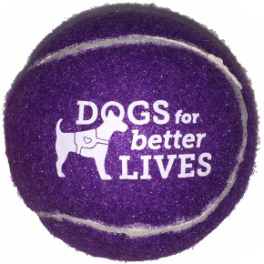 Pet Fetch Toy Tennis Balls