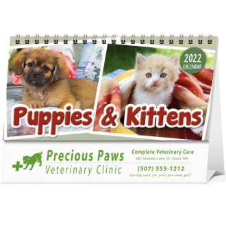 Puppies and Kittens Desk