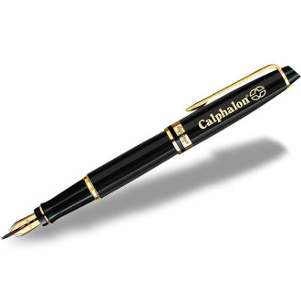 Waterman Expert Fountain Pens Black Lacquer GT