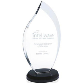 Innovation Award - Medium