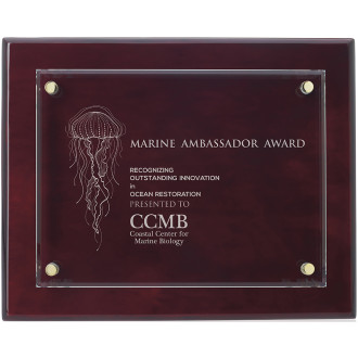 Floating Glass Plaque - 8