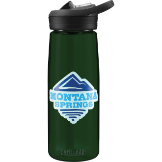 CamelBak Eddy+ 25oz - Full Color