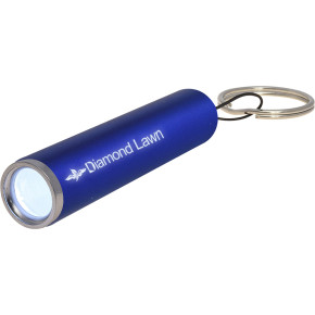 Ray Light Up LED Flashlight