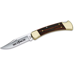 Buck Folding Hunter Lockback Knife