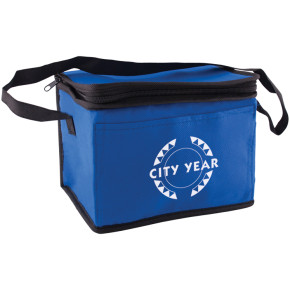 6 Pack Non-Woven Cooler Bag