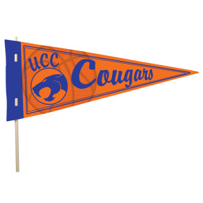 Cardstock Sport Pennant